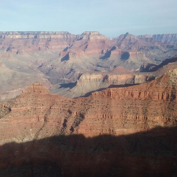 Profile Picture of Joyce Decino (@decinoj) on Poshmark