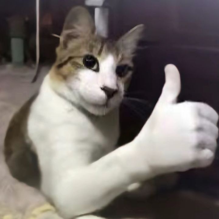 Profile Picture of Timothy Clearwater (@ticl385) on Tiktok