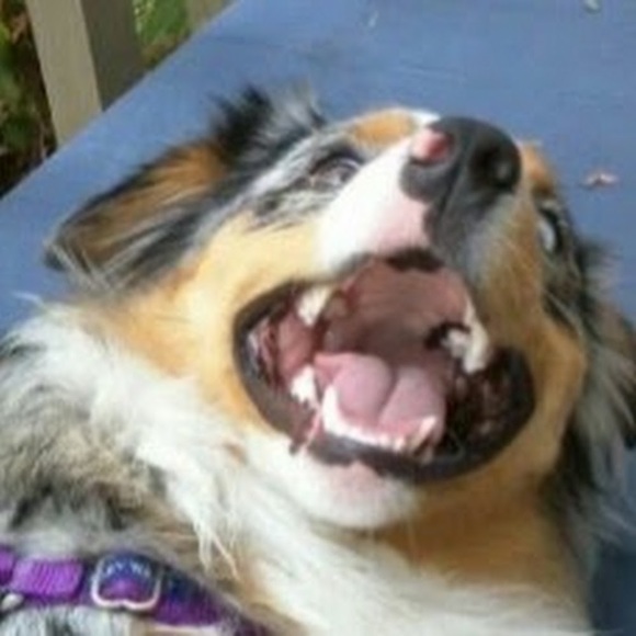 Julia Torokhov - Poshmark Profile Picture of Julia Torokhov (@juliavine123) on Poshmark