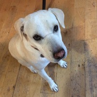 Profile Picture of Lucy Crenshaw (@lucy-crenshaw-1) on Quora