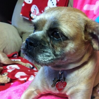 Profile Picture of Alice Dukes (@@alicedukes925) on Twitter