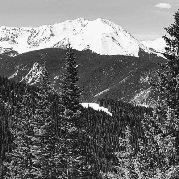 Profile Picture of M Ruthven (@foxlairfinds) on Poshmark