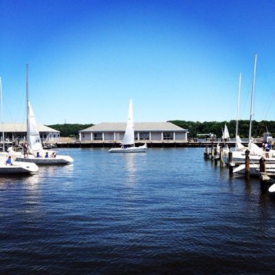 Profile Picture of Stacy Barry (@StacyBarry7) on Twitter