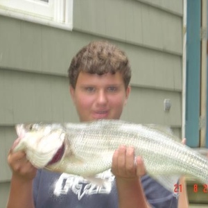 Profile Picture of Joey Solari (@398603105) on Myspace