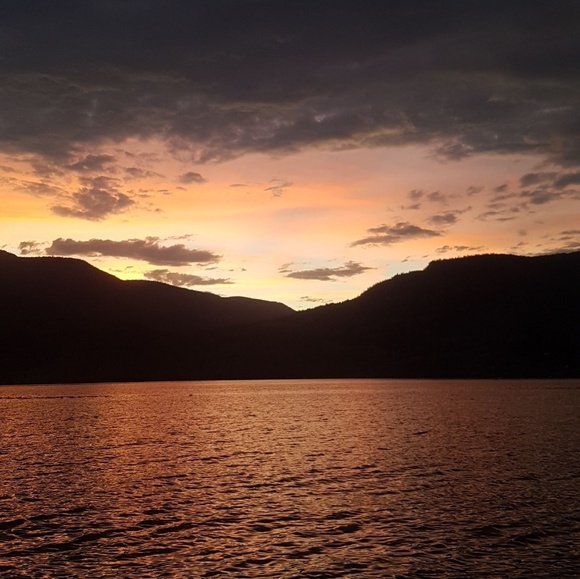 Profile Picture of Rylin Tocher (@rylintocher) on Poshmark