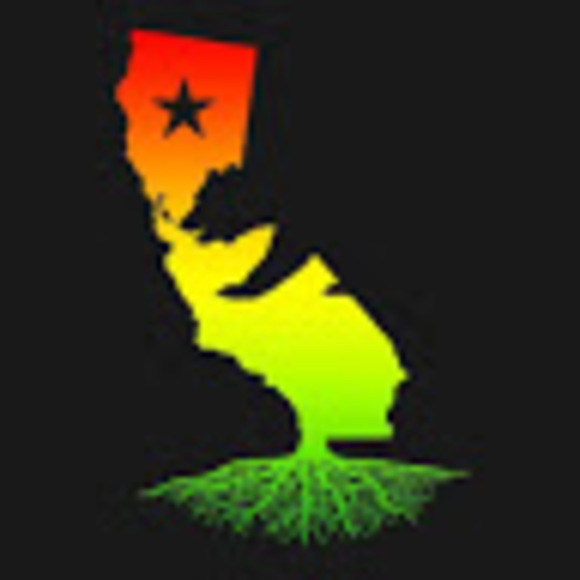 Profile Picture of Kim Witt (@kimwitt7579) on Poshmark