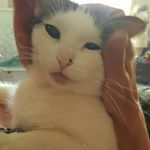 floyd allen X - Instagram Profile Picture of floyd allen X (@floydallenx) on Instagram