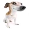 Profile Picture of Joe baker (@@yaboi_yul) on Tiktok
