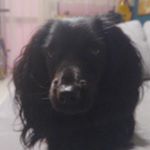 Profile Picture of Daniel Poremba (@dano_nuel) on Instagram