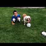 Profile Picture of Michael Marcella⚽️🏀 (@sports_fan120) on Instagram