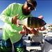 Profile Picture of Scott Cloar (@scottcloar) on Pinterest
