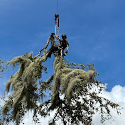 Profile Picture of Robert Shepard (@robertjoshuashepard) on Youtube