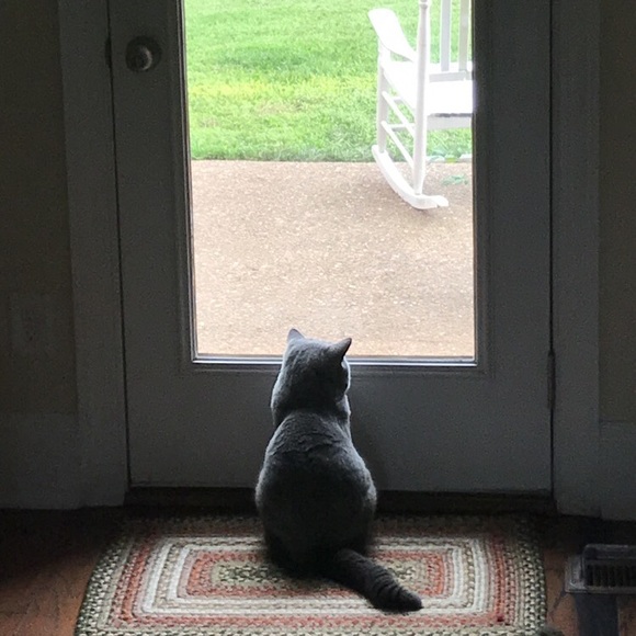 Profile Picture of Nate Fischbach (@nfish22) on Poshmark