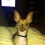 Profile Picture of Chip Bradshaw (@chip.bradshaw.56) on Facebook