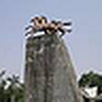 Profile Picture of Jian Zong (@CN-09-HK-Jason) on Flickr