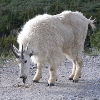 Profile Picture of Michael Kozicki (@michael-kozicki-2) on Quora