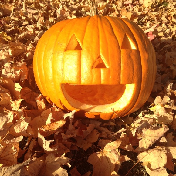 Profile Picture of Abbi Sterba (@abbisterba) on Poshmark