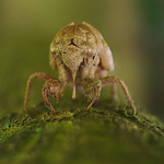 Profile Picture of Joshua Jones (@inconspicubiquity) on Flickr