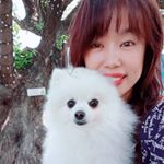 Profile Picture of 가족사랑👨‍👩‍👧‍👧포메우디🐶배구&민턴사랑🏐🏸 (@ssj716) on Instagram