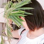 Profile Picture of bích liễu (@bich_lieu_505) on Instagram