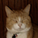 Jamie Towle - Flickr Profile Picture of Jamie Towle (@jamiebtowle) on Flickr