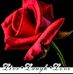 Profile Picture of Mary Mc Dermott (@mary.mcdermott.129142) on Facebook