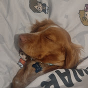 Profile Picture of Josh Kemp (@onesockjosh) on Youtube