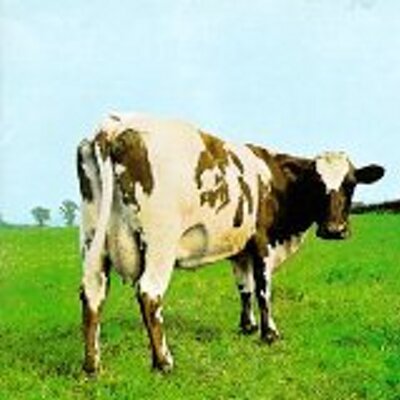 Profile Picture of Dr. Rock (@@PinkFloyd_) on Twitter