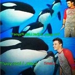 Profile Picture of Lacy Minniefield (@lacyminniefield) on Instagram