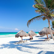 Profile Picture of Michael Ang (@michaelang3544) on Youtube