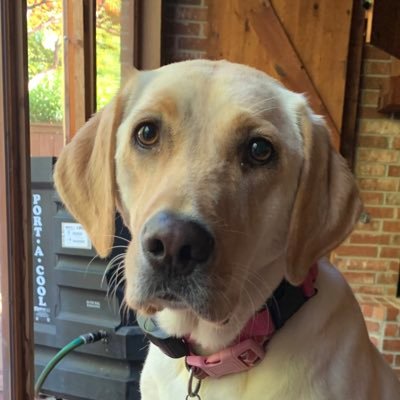 Profile Picture of Eric Flohr (@SmokeNRitas) on Twitter