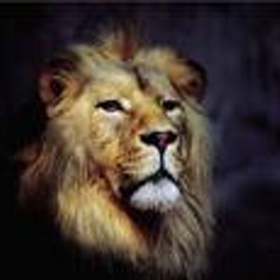 Profile Picture of Miguel Angel Taboada (@Ing_Taboada) on Twitter