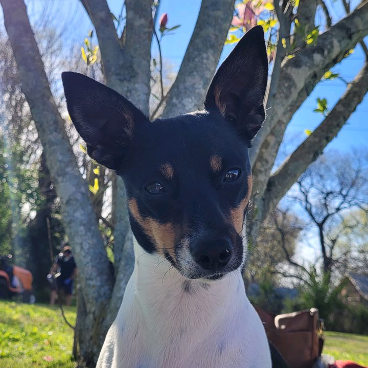 Profile Picture of mistybartlett33 (@mistybartlett33) on Tiktok