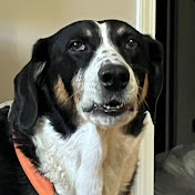 Profile Picture of Matthew Hildreth (@goofyfootgaming4551) on Youtube