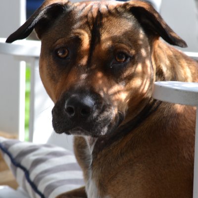 Profile Picture of James Stitt (@Jimthebuilder59) on Twitter