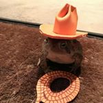 Profile Picture of Shannon Shoop (@lord_lactose) on Instagram