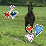 Profile Picture of Nancy Marie Moorman (@Nancy-Marie-Moorman) on Facebook