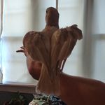 Profile Picture of Craig Ruppel (@ruppelcraig) on Instagram