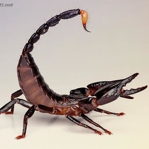 Profile Picture of Nirav Soni (@200835869) on Myspace