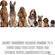 Profile Picture of Jaime Doolittle Dog Training LLC (@jaimedoolittledogtrainingl4774) on Youtube