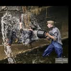 Profile Picture of Robin Wilkin (@robin.wilkin.50) on Facebook