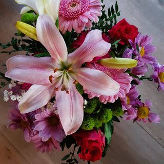 Agnes Eeman - Facebook Profile Picture of Agnes Eeman (@agnes.eeman.9) on Facebook