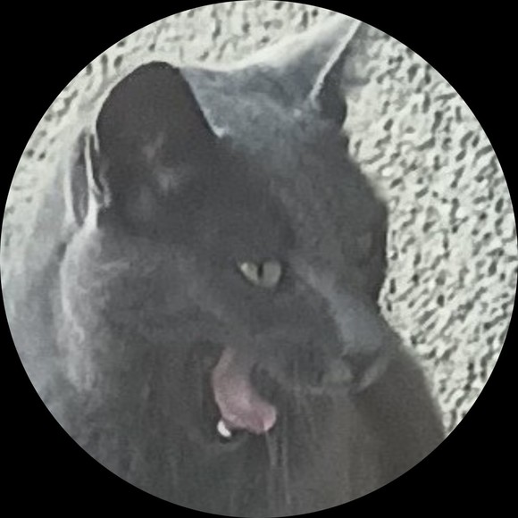 Profile Picture of Rozzay Rozzay (@roseroyce187) on Poshmark