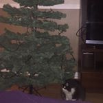 Profile Picture of Karolane Richard (@richardkarolane) on Instagram