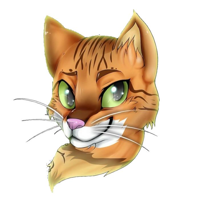 Profile Picture of Pouncey (@@professor_pouncey) on Tiktok