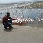 Profile Picture of Peter Kashmri (@peterkashmri) on Instagram