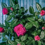 Profile Picture of Jérôme Homme (@Jérôme-Homme) on Facebook