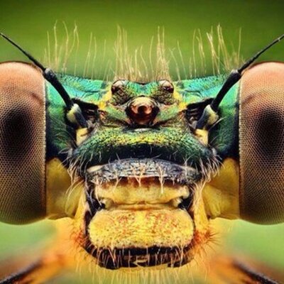 Profile Picture of David Keary (@KearydtKKearydt) on Twitter