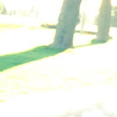 Profile Picture of Hack Account (@sarabia_josh) on Twitter