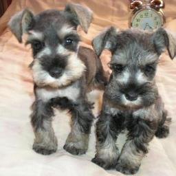 Profile Picture of Lucia Mendiola J (@lucymendiola5) on Twitter